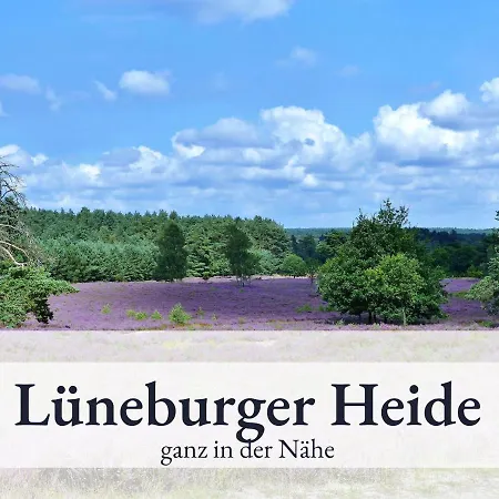 Blumenvilla - 15 Minuten Bis Zum Heide Park, Haustiere Willkommen, Sauna Im Gebaeude Schneverdingen