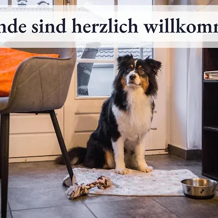 Appartement Blumenvilla - 15 Minuten Bis Zum Heide Park, Haustiere Willkommen, Sauna Im Gebaeude *
